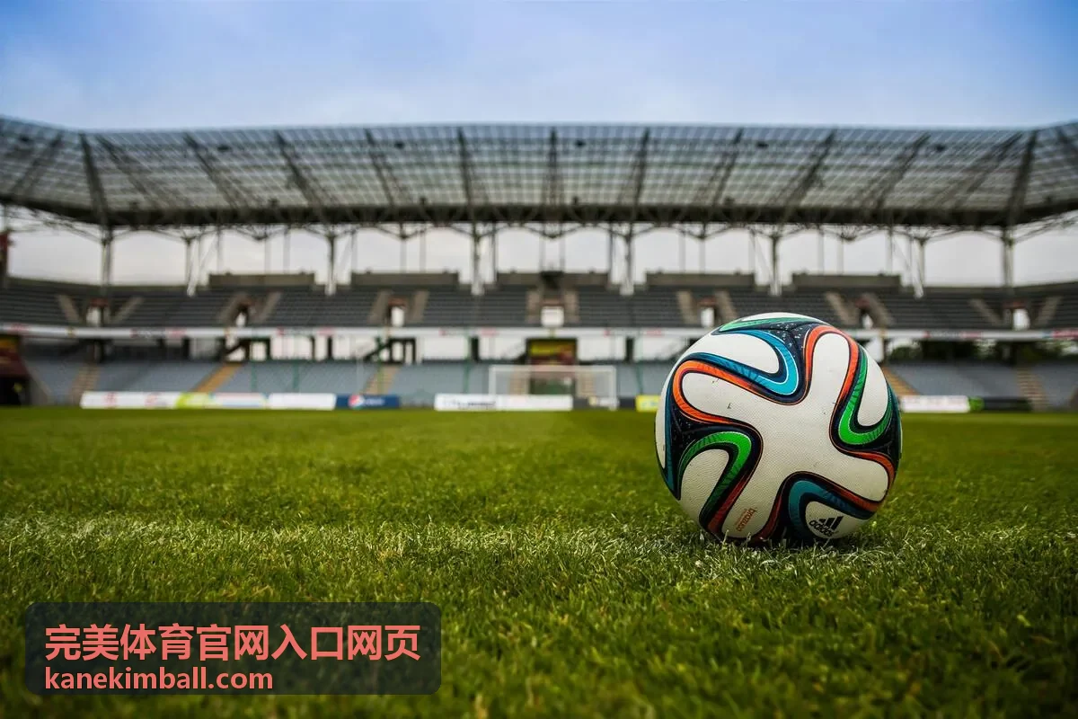 完美体育官网入口网页首页入口与导航结构示意