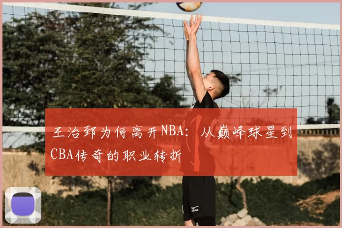 王治郅为何离开NBA：从巅峰球星到CBA传奇的职业转折